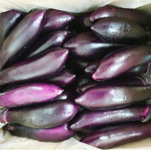 Purple Eggplant 500g/1kg